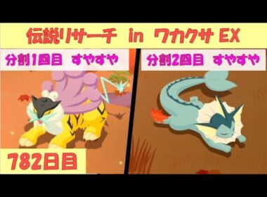 ポケスリ睡眠記録 2025/9/8(782日目)  ライコウ・エンテイ・スイクンリサーチ in ワカクサ本島 EX(1日目)【ポケモンスリープ】