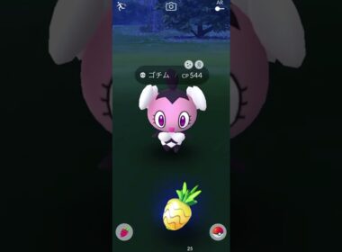 【Pokémon GO】 Shiny Gothita GET✨