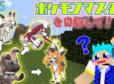 【Minecraft】#15　イワンコがルガルガンに進化！どの姿に⁇【ポケモンマスターを目指して】【ポケモンMOD】【Pixelmon】