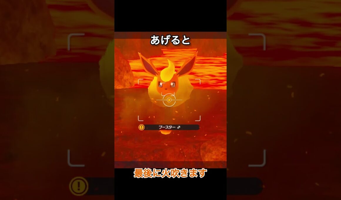 美食家ブースター　#ポケモンスナップ #ポケモン