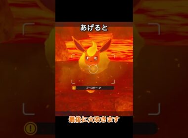 美食家ブースター　#ポケモンスナップ #ポケモン