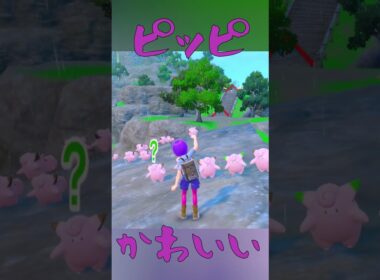 ピッピ大量発生が可愛すぎて戦えなかった④#shorts  #pokemon  #ピッピ #色違いピッピ #ポケモンSV