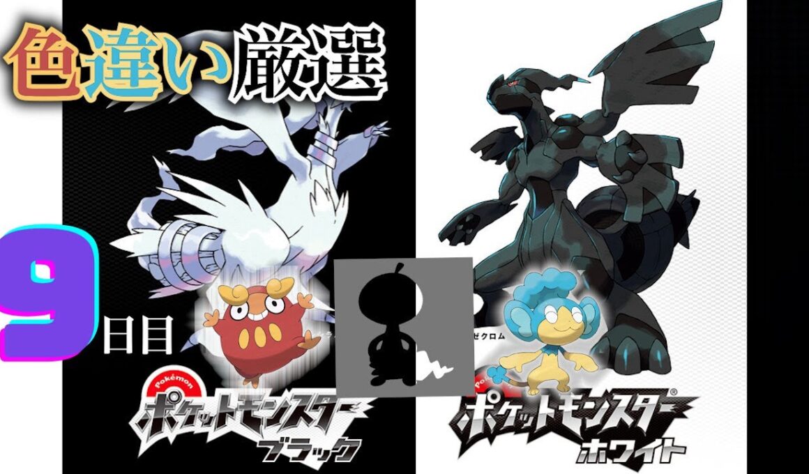 【ポケモンBW】4番道路(Shiny Pokémon)厳選(9日目) ~ヒヤップを添えて~