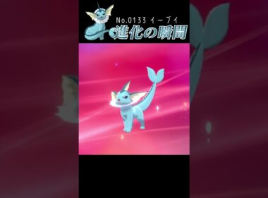 【ポケモン剣盾】イーブイ 進化の瞬間 #shorts【シャワーズ編】