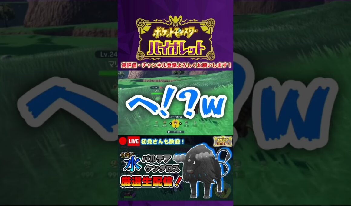【ポケモンSV】色違いパルデアケンタロスが欲しいのに色違いマリルに阻まれた男 #shorts