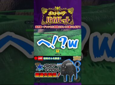 【ポケモンSV】色違いパルデアケンタロスが欲しいのに色違いマリルに阻まれた男 #shorts