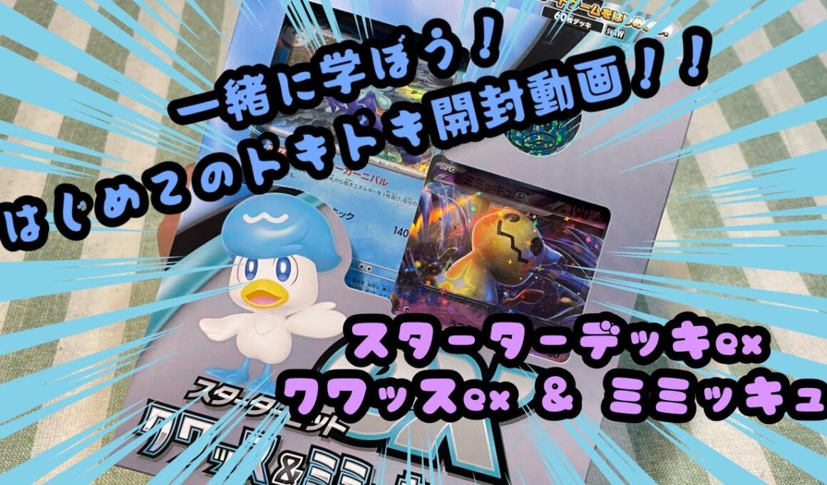 クワッスの新事実！？ポケモンカードゲームのクワッスex & ミミッキュex　スターターデッキセットの開封動画