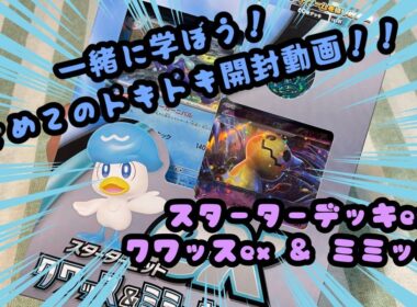 クワッスの新事実！？ポケモンカードゲームのクワッスex & ミミッキュex　スターターデッキセットの開封動画