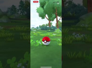 そうえばポケカバオッキーの絵ちいかわの作者が描いてたなー#ポケgo#バオップ