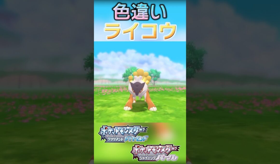 戦闘！色違いライコウ #shorts