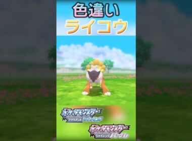 戦闘！色違いライコウ #shorts