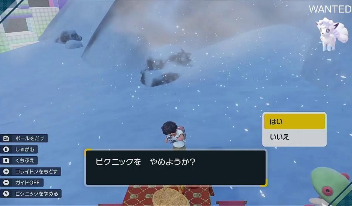 【ポケモンSV】switch2で色違いアローラロコンを探してウロウロする配信