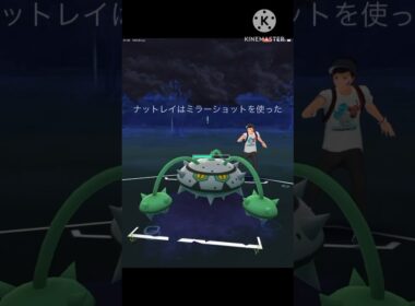 メガニウム狂さんと対戦! 激戦の末勝ったのは?? #ポケモンgo #goバトルリーグ