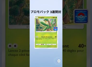 【ポケポケ】プロモパック3連開封【海外トロピウス】