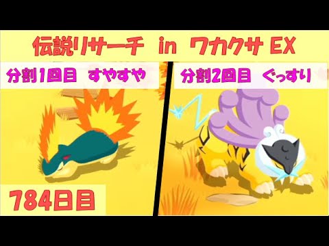 ポケスリ睡眠記録 2025/9/10(784日目)  ライコウ・エンテイ・スイクンリサーチ in ワカクサ本島 EX(3日目)【ポケモンスリープ】