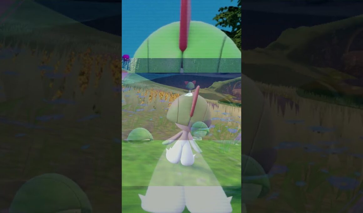 【疲れた人向け】ラルトス6匹とピクニック【ポケモンSV】#Shorts