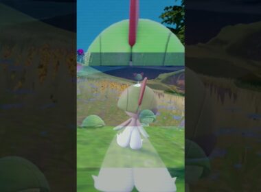 【疲れた人向け】ラルトス6匹とピクニック【ポケモンSV】#Shorts