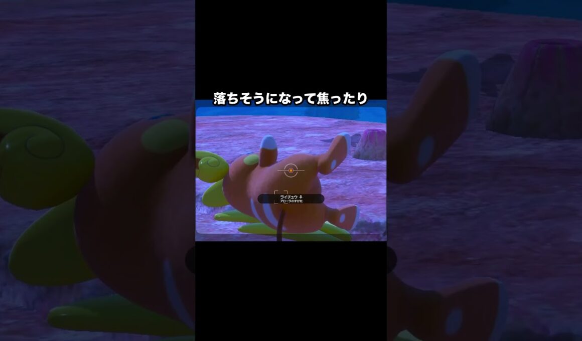 可愛いが渋滞！！ライチュウの一日 #ポケモン #newポケモンスナップ