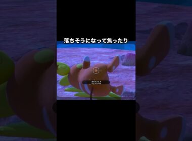 可愛いが渋滞！！ライチュウの一日 #ポケモン #newポケモンスナップ