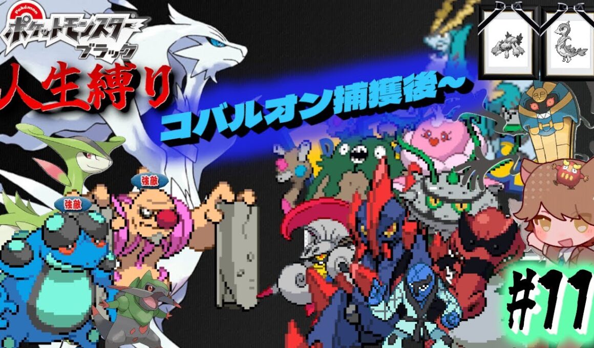 【ポケモンBW 人生縛り】地獄のチャンピオンロード「ポケットモンスター ブラック/ホワイト」#11《初見歓迎》