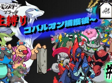 【ポケモンBW 人生縛り】地獄のチャンピオンロード「ポケットモンスター ブラック/ホワイト」#11《初見歓迎》