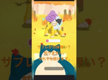 【睡眠計測】アチャモにスパサボはもったいない？いいえ。投げます！ #ポケモン #shorts