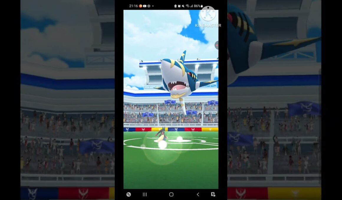 [ポケモンGO]メガサメハダー2人で討伐した記録。