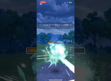 硬くて強いフラージェス！