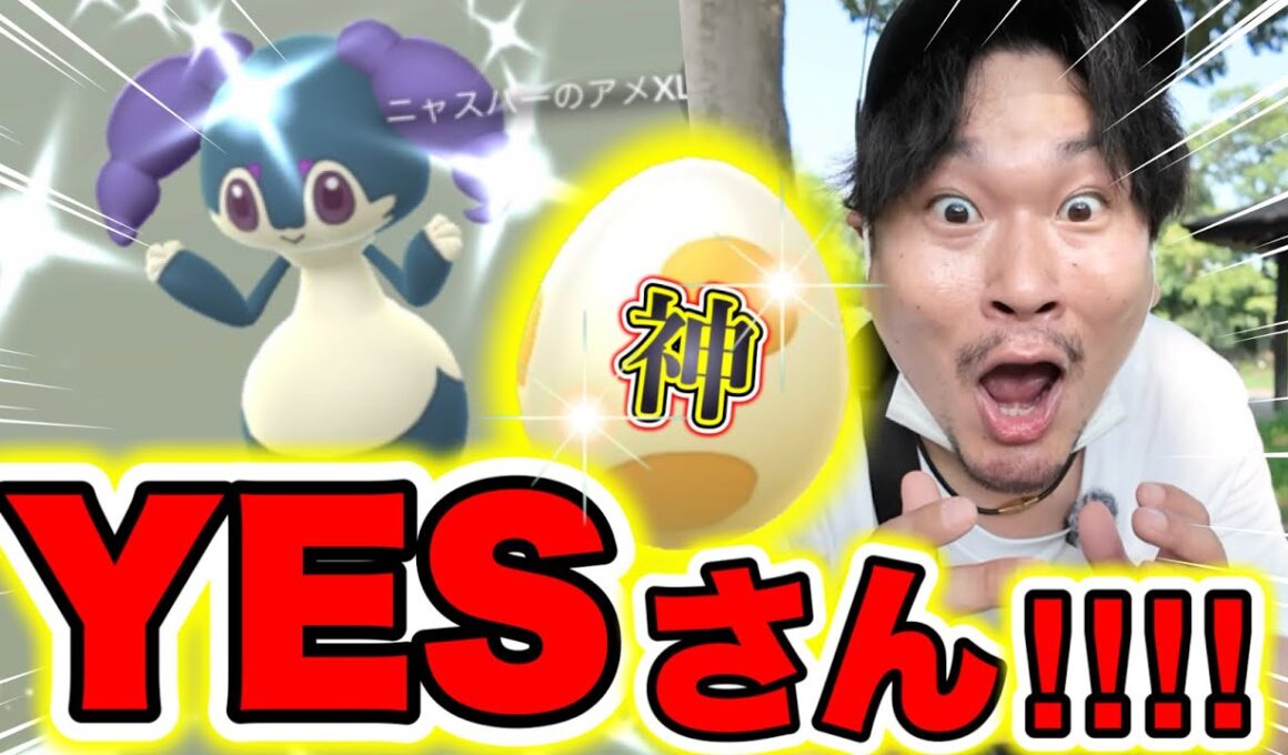 神回爆誕!!?イエッサン色違い!!!モノズ＆5たま少なすぎる問題？！炎天下ポケ活GO！！！