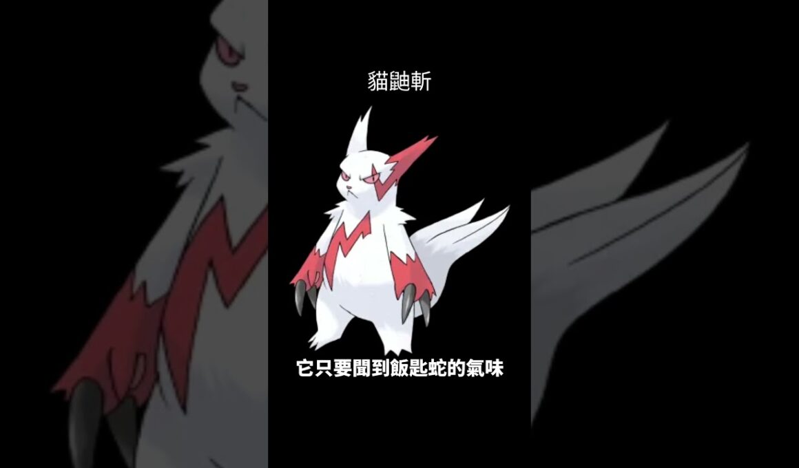 寶可夢圖鑑 #pokemon No.335 貓鼬斬ザングース Zangoose #0335 #寶可夢卡牌 #pokemongo #寶可夢 #shorts #神奇寶貝 #第三世代