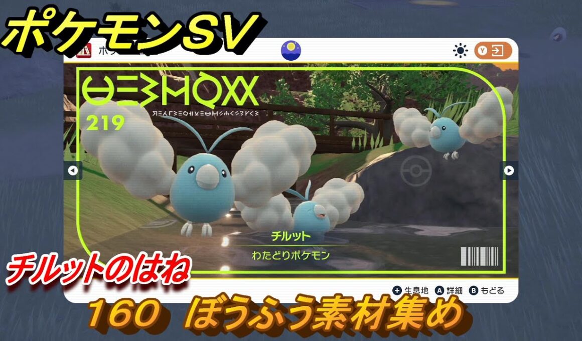 ポケモンＳＶ　わざマシン１６０　ぼうふう素材集め　チルットのはねの入手方法は？　【スカーレット・バイオレット】
