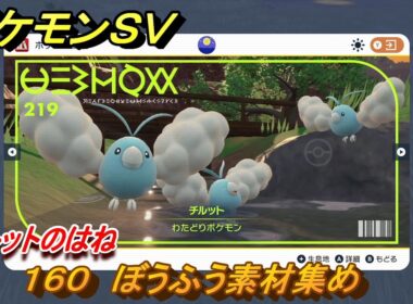 ポケモンＳＶ　わざマシン１６０　ぼうふう素材集め　チルットのはねの入手方法は？　【スカーレット・バイオレット】