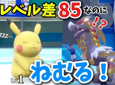 「Lv.1レッドパvs最終強化ネモ」レベル差85を覆す！