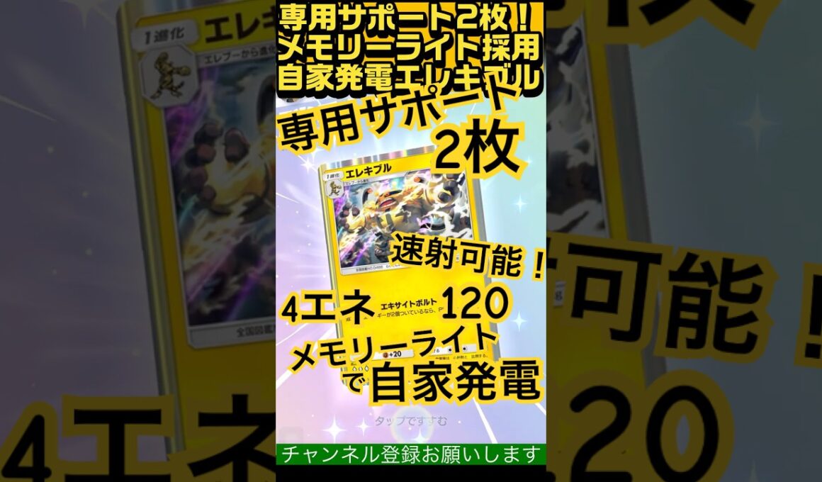 【自家発電】専用サポート2枚のエレキブル
