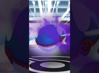 【2人討伐】、、シ、シャドウカイオーガ、２人で撃破！！#ポケモンGO#shadowkyogre#pokemongo