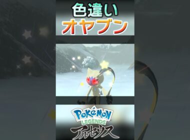 戦闘！色違いオヤブンオオニューラ #shorts