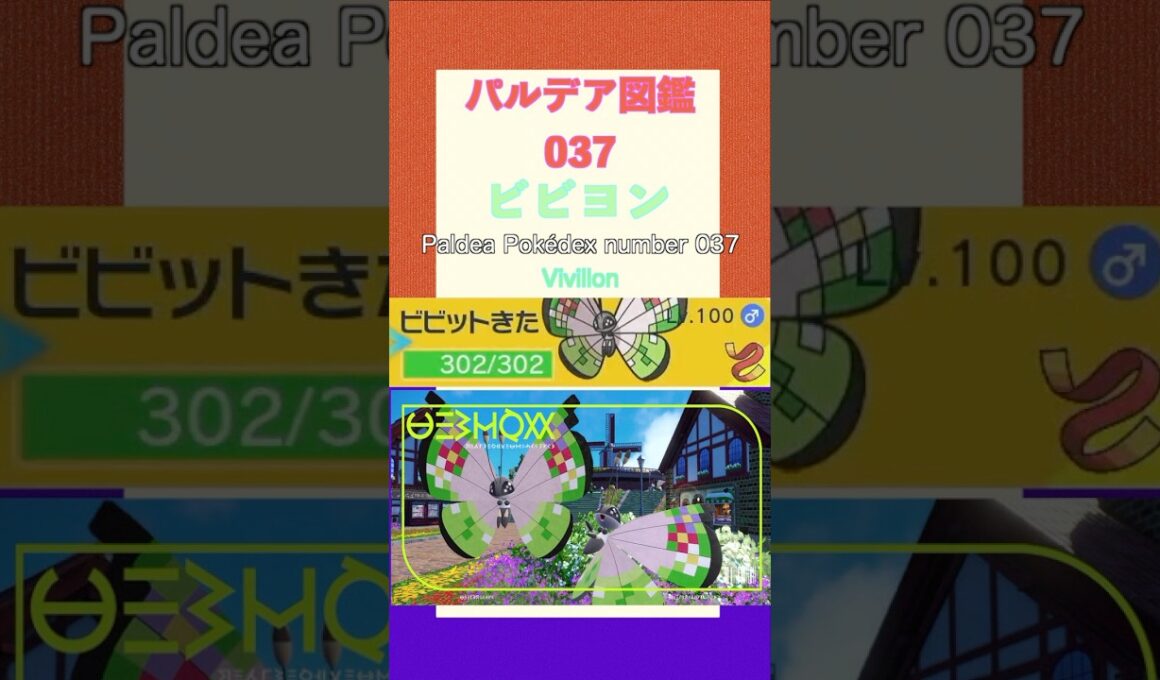 ポケモンSV パルデア図鑑037　ビビヨン　レベル100 #shorts