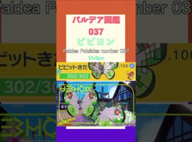 ポケモンSV パルデア図鑑037　ビビヨン　レベル100 #shorts