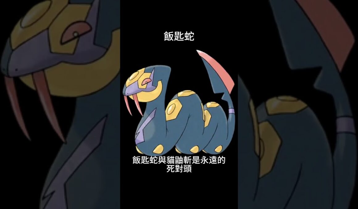 寶可夢圖鑑 #pokemon No.335 飯匙蛇ハブネーク Seviper #0335 #寶可夢卡牌 #pokemongo #寶可夢 #shorts #神奇寶貝 #第三世代