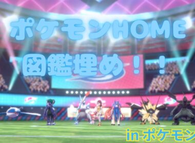 ガラル図鑑は埋まった。ヨロイ図鑑もあと少し！！【ポケモン剣盾】