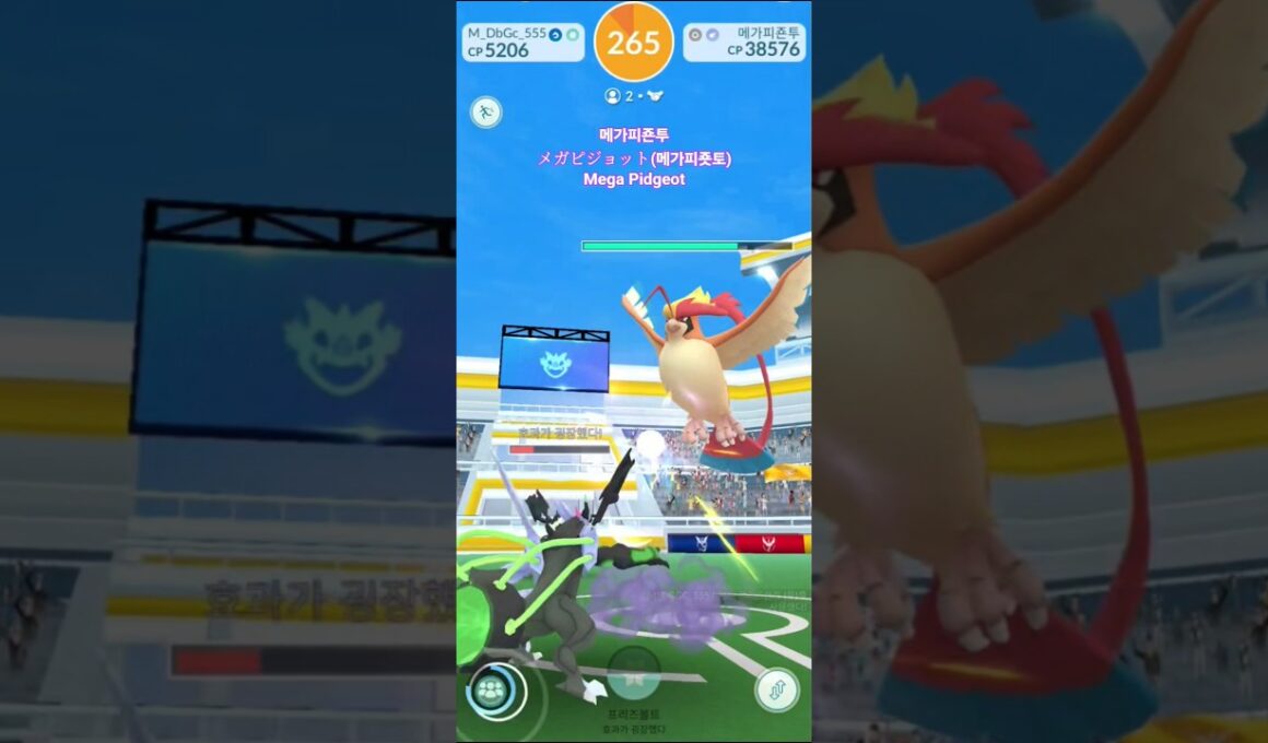 메가피죤투メガピジョット(메가피죳토)Mega Pidgeot #pokemongo #포켓몬고 #메가피죤투 #megapidgeot