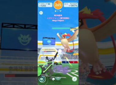 메가피죤투メガピジョット(메가피죳토)Mega Pidgeot #pokemongo #포켓몬고 #메가피죤투 #megapidgeot
