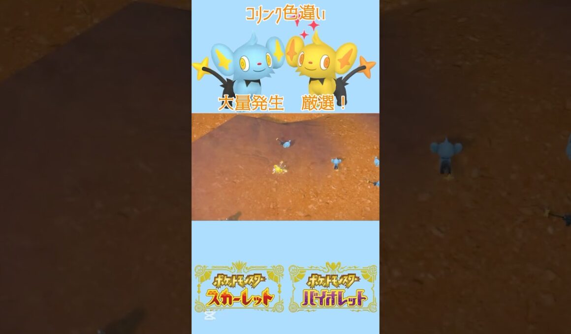 色違いコリンク出現💫大量発生 #ポケモンsv #色違いポケモン #コリンク#pokemon #Shinx #shinypokemon