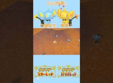 色違いコリンク出現💫大量発生 #ポケモンsv #色違いポケモン #コリンク#pokemon #Shinx #shinypokemon