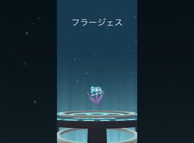 【ポケモンGO】色違いフラベベ➡︎フラージェス【コミュデイ2025年9月】#shorts
