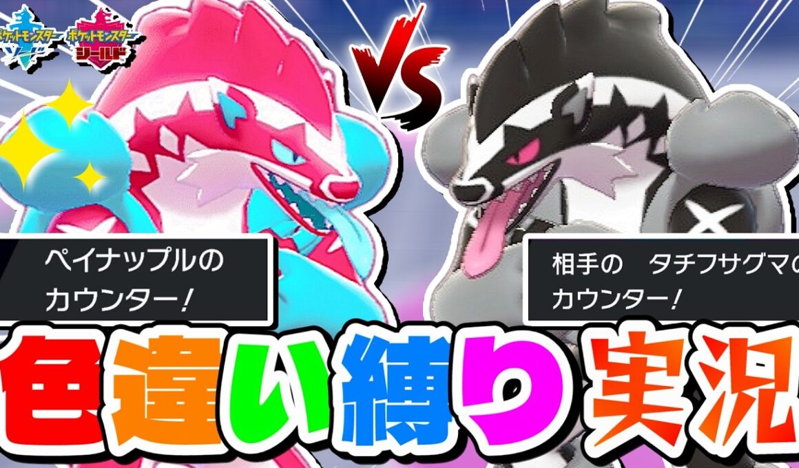 【ポケモン剣盾】色違いタチフサグマがジム戦でまさかのイタチごっこ展開ｗ【色違い縛り実況Part7】