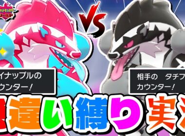 【ポケモン剣盾】色違いタチフサグマがジム戦でまさかのイタチごっこ展開ｗ【色違い縛り実況Part7】