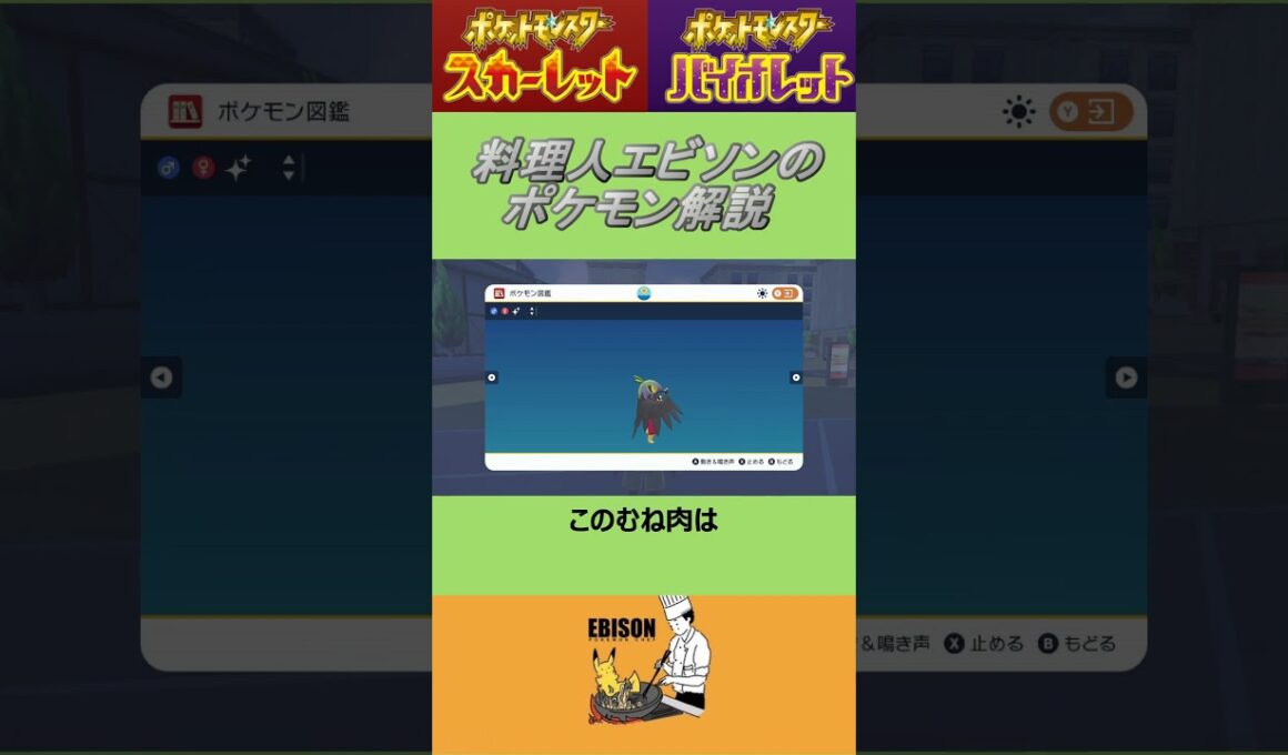 エビソンのポケモン解説143　#ポケモンsv #スカーレットバイオレット #ルチャブル
