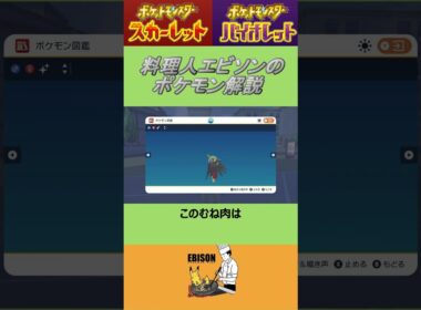 エビソンのポケモン解説143　#ポケモンsv #スカーレットバイオレット #ルチャブル