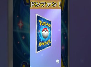 ドンファンex！【ポケポケ】